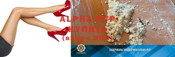 прущие грибы Майский