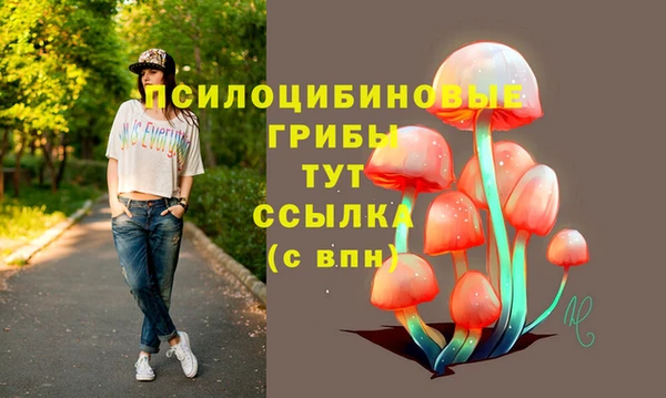 прущие грибы Ачинск