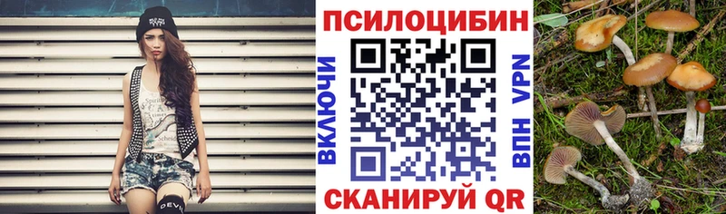 Галлюциногенные грибы прущие грибы  Талдом 